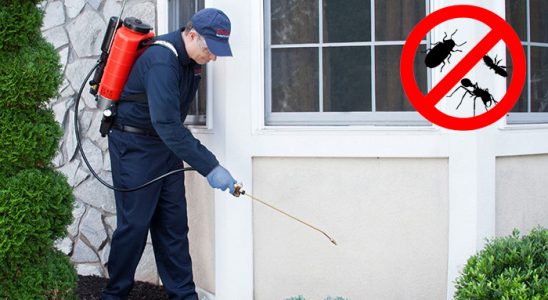 Tonya Hamam Böceği İlaçlama böcek ilaçlama ve haşere kontrolü — ilaclama-tr.com